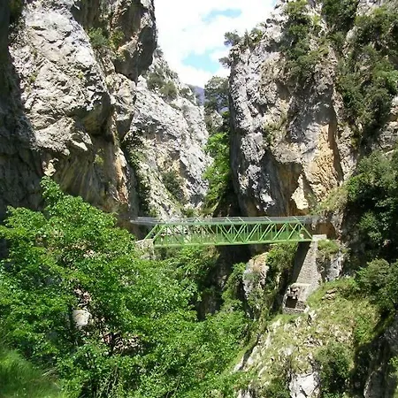La Arboleda *