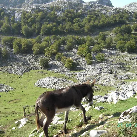 La Arboleda Colombres